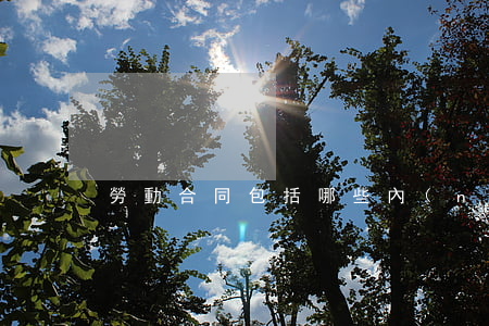 勞動合同包括哪些內(nèi)容