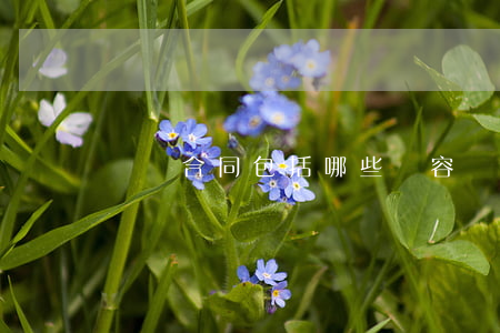 勞動合同包括哪些內容