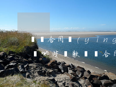 勞動合同應(yīng)當(dāng)具備哪些條款（勞動合同的約定條款有哪些）