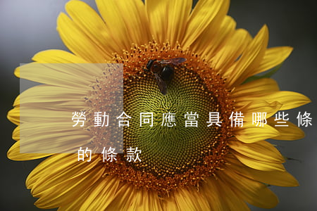 勞動合同應當具備哪些條款(勞動合同應具備的條款)