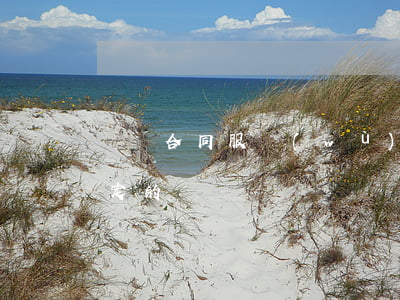 勞動合同服務(wù)期如何規(guī)定的
