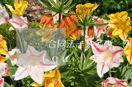 勞動合同法一共多少條例(勞動法共有多少條規(guī)定)