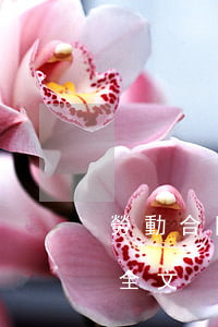 勞動合同法 全文(2008年以前勞動合同法全文) 勞動合同法 全文(2008年以前勞動合同法全文)