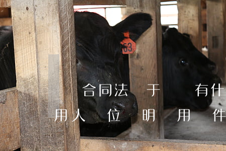 勞動合同法關于離職有什么規(guī)定（用人單位證明錄用條件已經(jīng)公示和告知的技巧和方法）