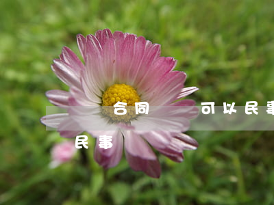 勞動合同糾紛可以民事訴訟嗎(勞動糾紛屬于民事糾紛嗎)