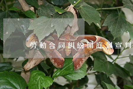 勞動合同糾紛開庭到宣判需要多久