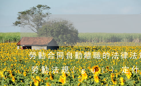勞動合同自動離職的法律法規(guī)(勞動法規(guī)定什么叫自動離職)