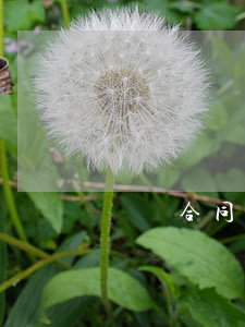 勞動合同逾期續(xù)簽怎么補償