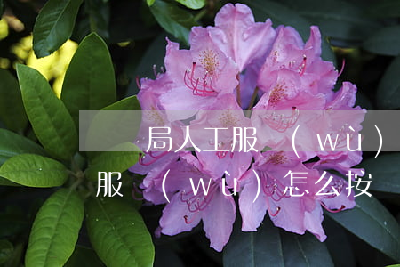 勞動局人工服務(wù)怎么打(勞動局人工服務(wù)怎么按)