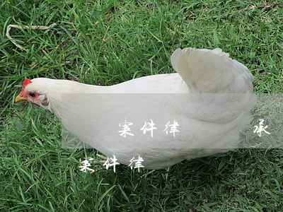 勞動案件律師費誰承擔(dān)(勞動爭議案件律師費)