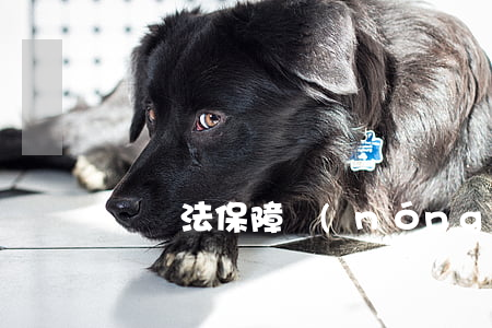 勞動法保障農(nóng)民工工資