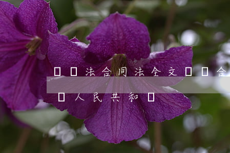 勞動法合同法全文(勞動合同法全文 最新版 中華人民共和國) 勞動法合同法全文(勞動合同法全文 最新版 中華人民共和國)