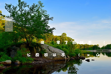 勞動法懷孕了可以不續(xù)合同嗎(懷孕公司可以不續(xù)簽勞動合同嗎)