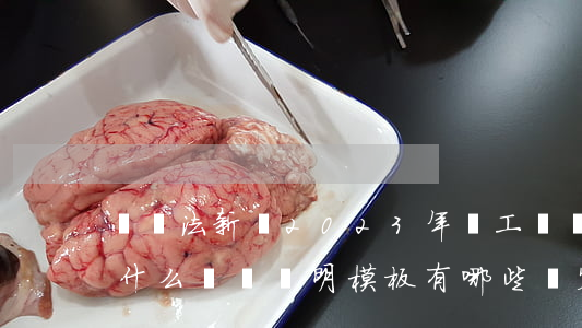 勞動法新規2023年員工辭職的規定包括什么（離職證明模板有哪些內容）