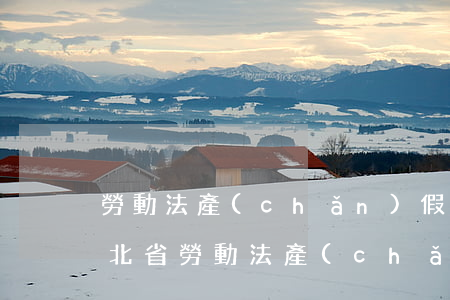 勞動法產(chǎn)假規(guī)定(河北省勞動法產(chǎn)假規(guī)定)