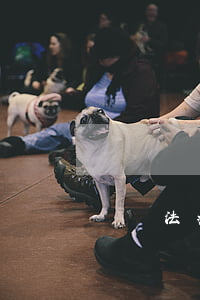勞動法病假規(guī)定