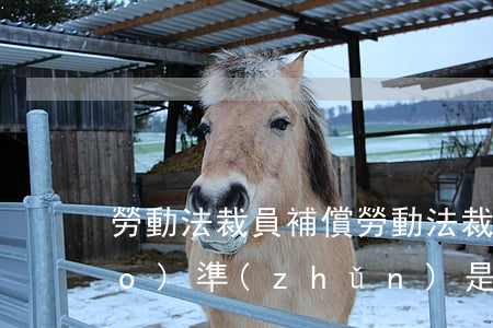 勞動法裁員補償(勞動法裁員補償標(biāo)準(zhǔn)是n 1嗎)