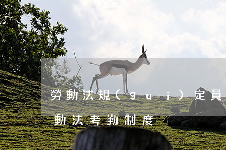 勞動法規(guī)定員工可以查考勤嗎(勞動法考勤制度)