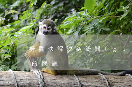 勞動法解決糾紛(關(guān)于勞動糾紛的問題)