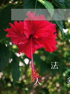 勞動法辭工了工資可以結(jié)清嗎(工人辭職多久用人單位工資結(jié)清)