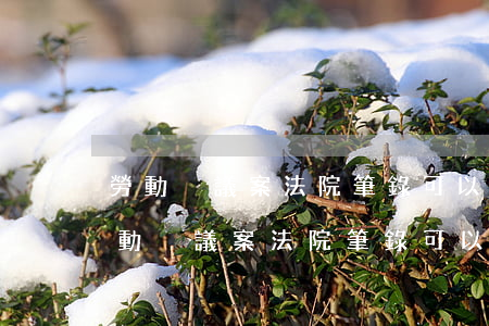 勞動爭議案法院筆錄可以復(fù)印嗎(勞動爭議案法院筆錄可以復(fù)印嗎)