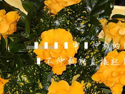 勞動爭議申請仲裁的時效期間是多久（勞動爭議不仲裁能直接起訴嗎）