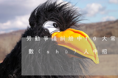 勞動爭議糾紛中10大常見誤區(qū)，多數(shù)人中招！