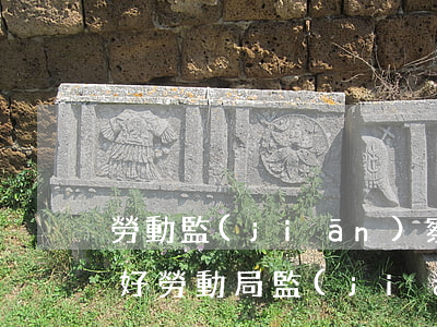 勞動監(jiān)察和勞動仲裁哪個效果好(勞動局監(jiān)察部門和仲裁哪個好)