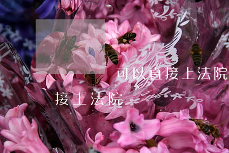勞動糾紛可以直接上法院嗎(勞動官司可以直接上法院嗎)