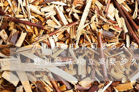 勞動糾紛打官司要多久能執(zhí)行(勞動糾紛法院立案要多久)