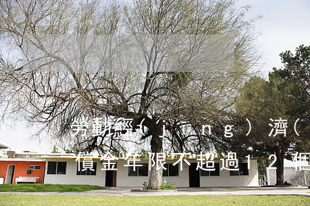 勞動經(jīng)濟(jì)補(bǔ)償金年限不超過12個月的情形