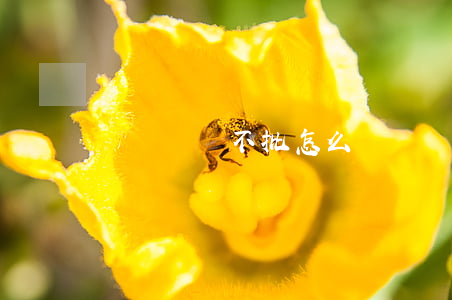 勞動辭職不批怎么辦