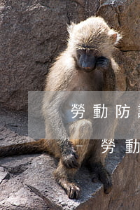 勞動防護(hù)用品逾期未改正的處罰款-勞動防護(hù)用品逾期未改正的處罰款由誰承擔(dān)