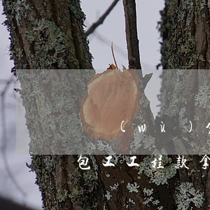 勞務(wù)分包拿不到工程款怎么辦(工地包工工程款拿不到怎么辦)