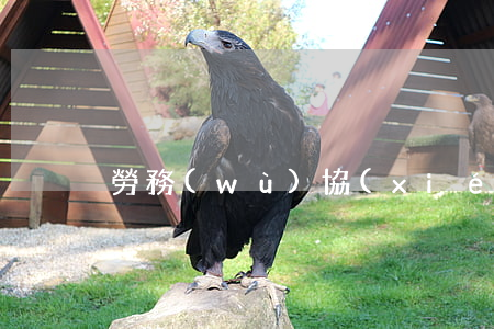 勞務(wù)協(xié)議書