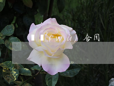 勞務(wù)合同