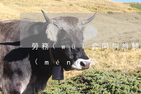 勞務(wù)合同糾紛歸哪個(gè)部門(mén)管