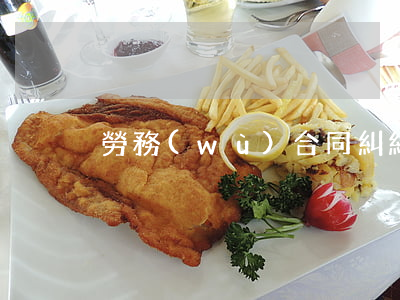 勞務(wù)合同糾紛適用什么法律