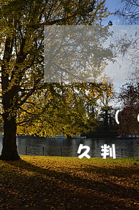 勞務(wù)合同糾紛開(kāi)庭后多久判決