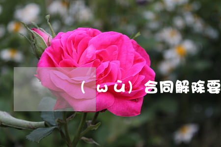 勞務(wù)合同解除要賠償嗎