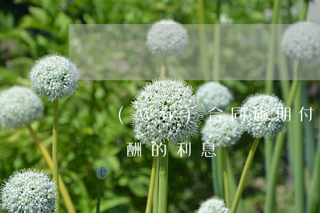 勞務(wù)合同逾期付款利息（逾期支付勞動報酬的利息）