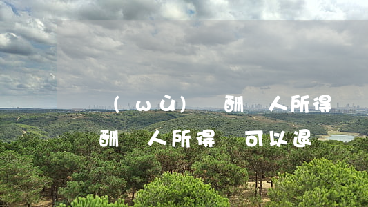 勞務(wù)報酬個人所得稅(勞務(wù)報酬個人所得稅可以退嗎)