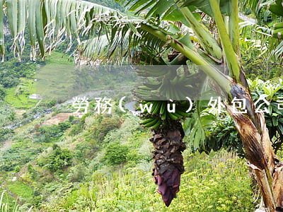 勞務(wù)外包公司申請(qǐng)