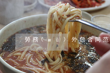 勞務(wù)外包合同范本
