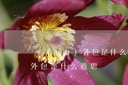 勞務(wù)外包是什么意思(勞務(wù)外包是什么意思?)