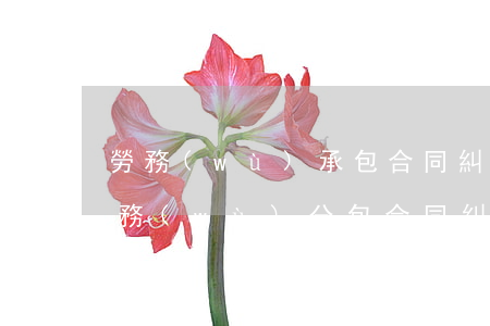 勞務(wù)承包合同糾紛如何處理(工程勞務(wù)分包合同糾紛)