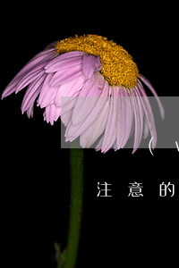 勞務(wù)派遣中勞動者應(yīng)注意的相關(guān)事項(xiàng)有哪些