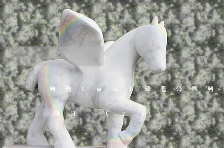 勞務(wù)派遣公司(勞務(wù)派遣公司注冊(cè))