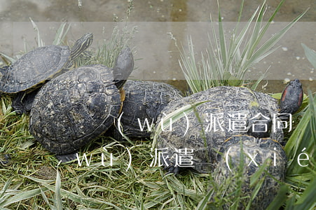 勞務(wù)派遣合同糾紛如何處理(勞務(wù)派遣協(xié)議糾紛案例)