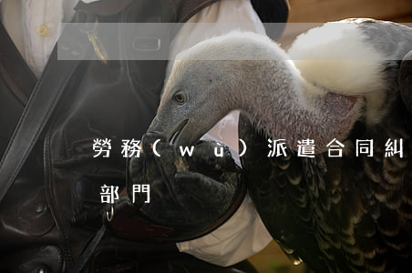 勞務(wù)派遣合同糾紛找哪個(gè)部門